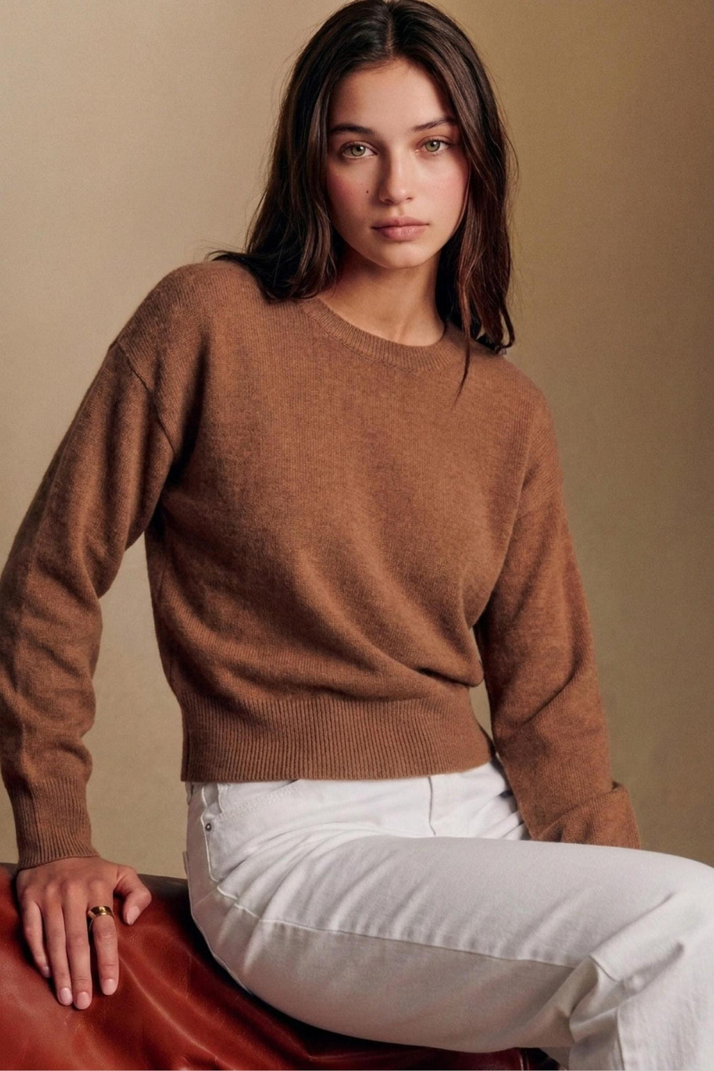 Classic Long Sleeve Crewneck Sweater Top