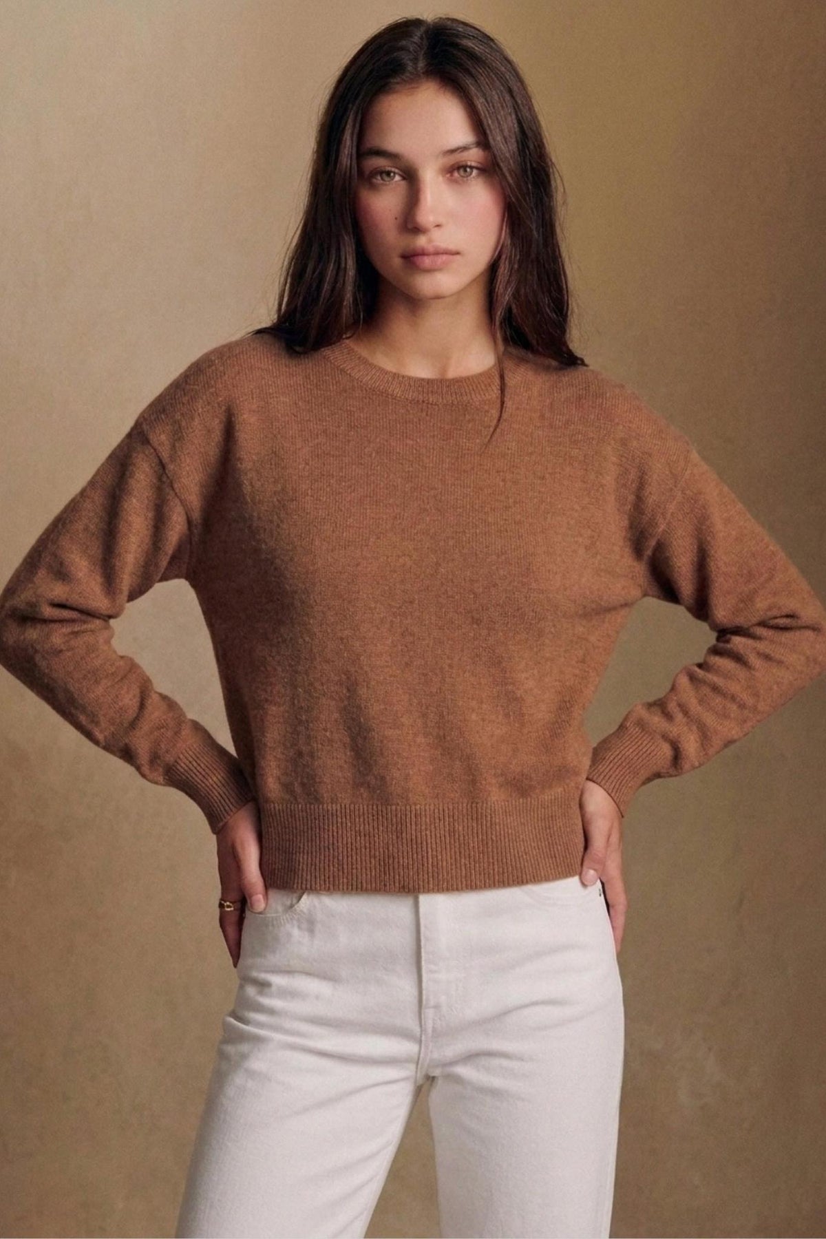 Classic Long Sleeve Crewneck Sweater Top