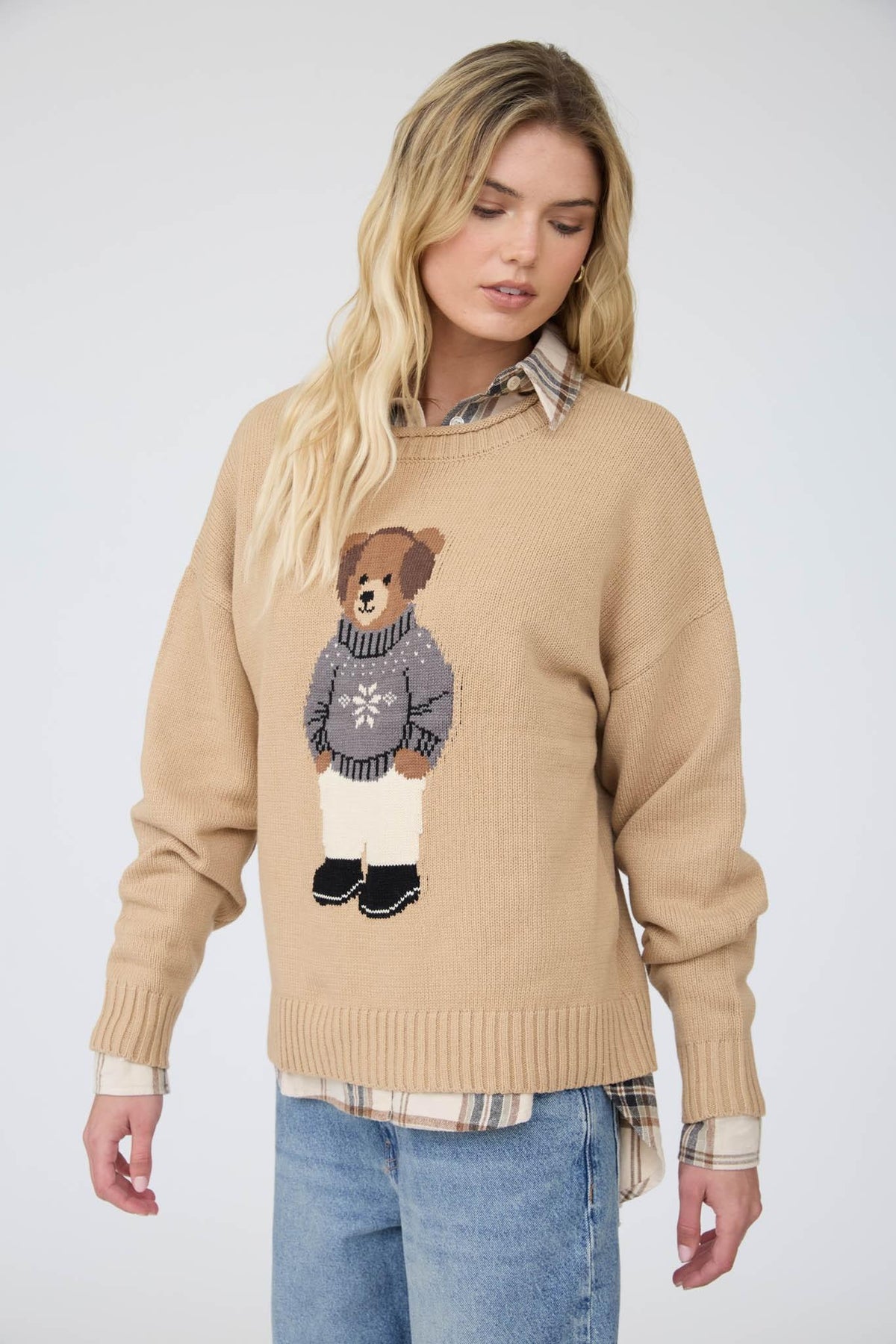 Teddy Bear Crew Neck Intarsia Knit Sweater