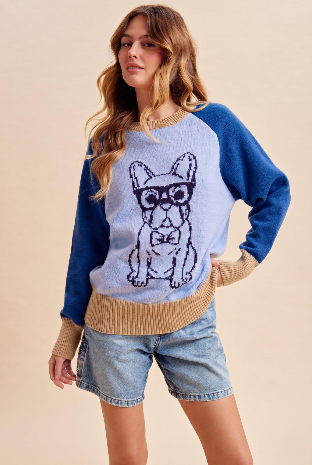 French Bulldog Intarsia Color Block Sweater